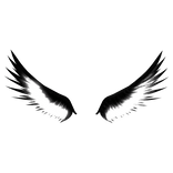 Glow Black White Angel Wings Y2K Scene
