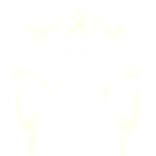 Glowing Aura Divine Angel Wings