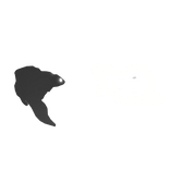 GLOWING koi yin and yang [EMISSIVE]
