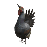 Глухарь le le le 