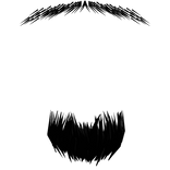 Goatee Facial Hairstyle