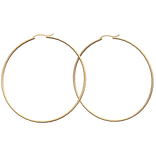 Gold Earring Hoops