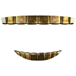 ♡ : gold grillz teeth smile (SSHF)