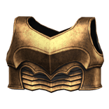 Gold Medieval Paladin Chestplate