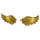gold wings
