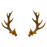 Golden Flower Antlers