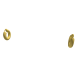 Golden Hoop Earrings