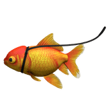 Goldfish on a leash
