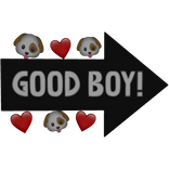 Good Boy Arrow