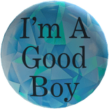 Good Boy Button - Limited item ✨