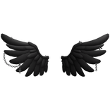 Gothic Angel Wings
