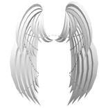 ┊♰ ꒱ gothic chained angel wings ꒰white꒱