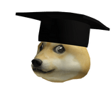 Graduated Doge