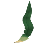 Grass Feline's Tail (PBR)