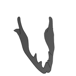 Gray Blaster Jaw