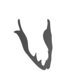 Gray Blaster Jaw No Outline
