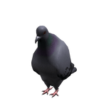 Gray Pigeon Suit v2