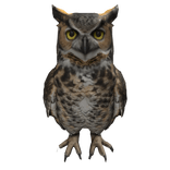 Great Horned Owl Left Shoulder Pet