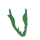 Green Blaster Jaw 