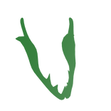 Green Blaster Jaw No Outline