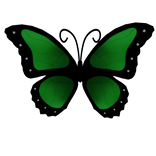 Green Butterfly