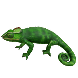 Green Chameleon Left Shoulder Pet