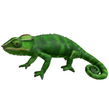 Green Chameleon Right Shoulder Pet