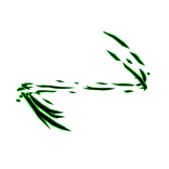 Green Flame Aura Top