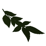 Green flower crown Right