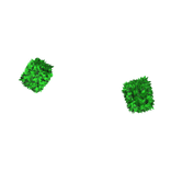 Green Fur Arm Warmers