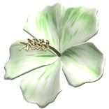 Green Hibiscus Summer Hair Flower