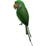 (Green) Right Shoulder Parrot