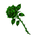 Green Rose