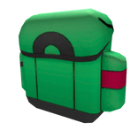 Green Trainer Bag