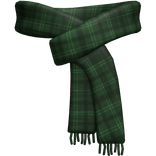 Green Winter Scarf