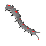 Grey Centipede Tail