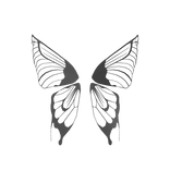 Grey Fairy wings of Elegance