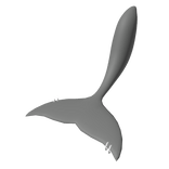 Grey shark tail w silver piercings