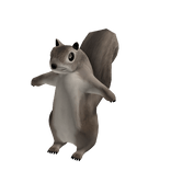 Grey Squirrel Suit