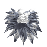 Grey Sunflower Bloom