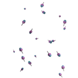 Grow A Garden Candy Blossom Confetti Aura