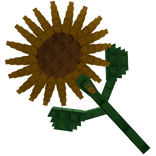 Grow a Garden Sunflower Backpack