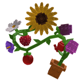 Grown From a Garden
