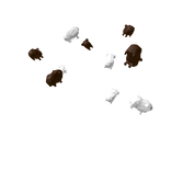 🐭Guinea Pig Aura! 🐭