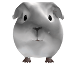 Guinea pig Crystal