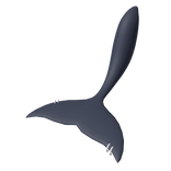 Gummy shark tail w silver piercings