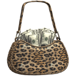 Gyaru Leopard Purse w/ Money