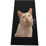 HAHA Kw Messed Up Texture