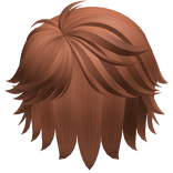 hair6