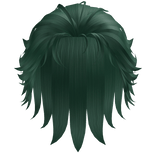 hair9